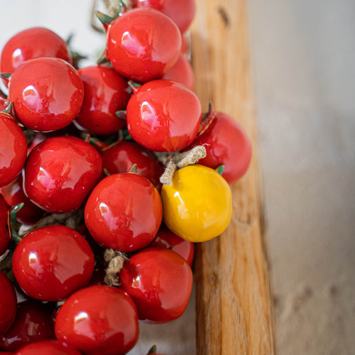 Ceramic Tomatoes Ramasola